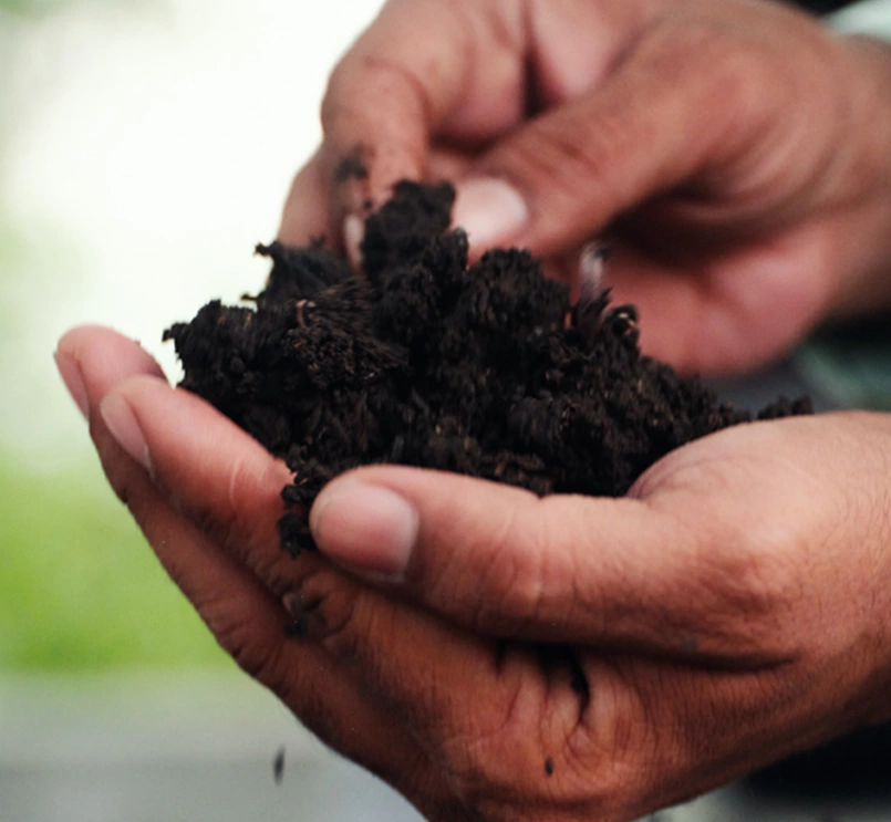 Holding a handful of dirt