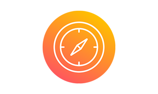Novartis Icon Compass Roundel Orange RGB