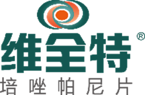 维全特